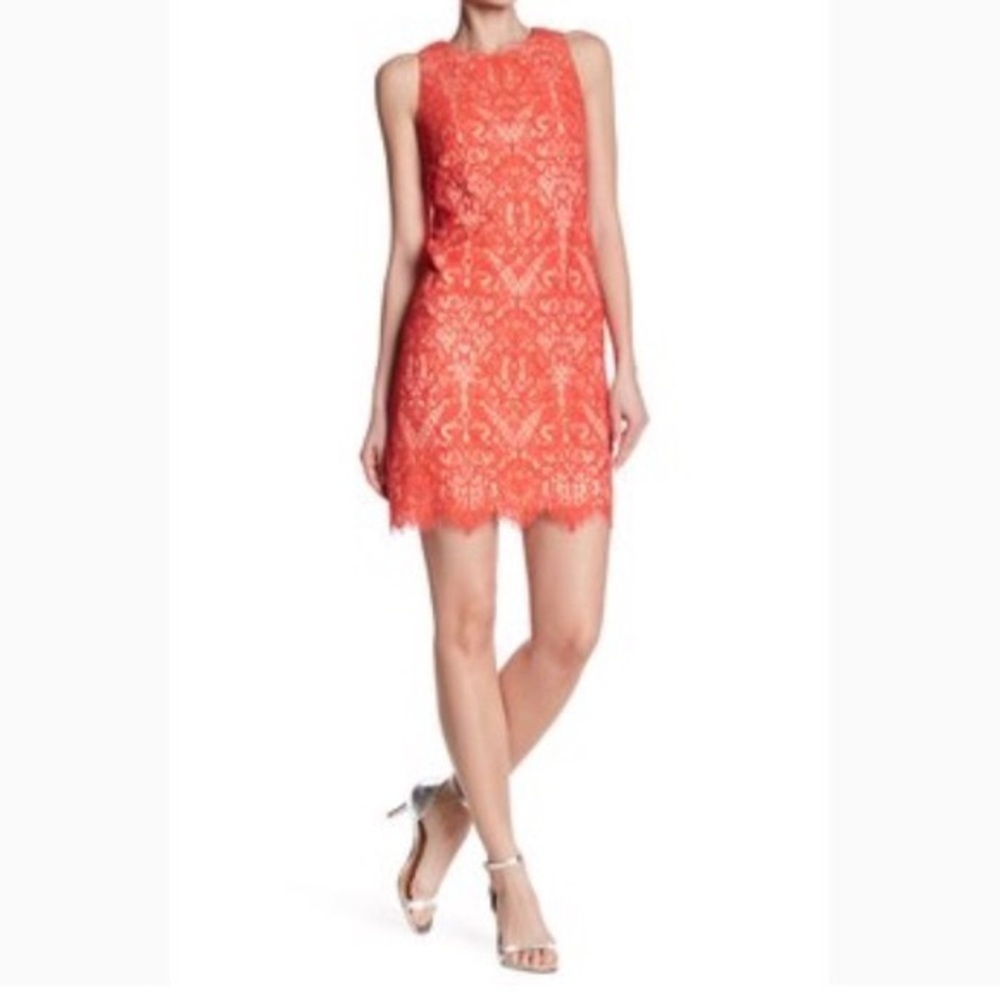 Eliza J orange coral lace sleeveless sheath dress
